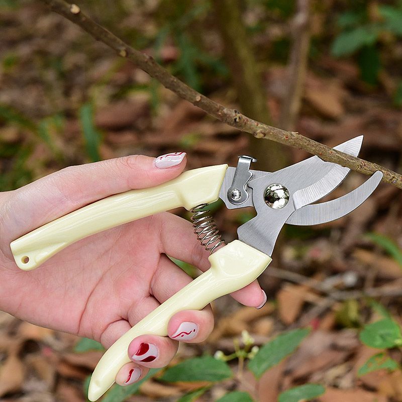 Pruning Shears - Gunting Pemangkas Taman Hemat Tenaga, Pemangkas