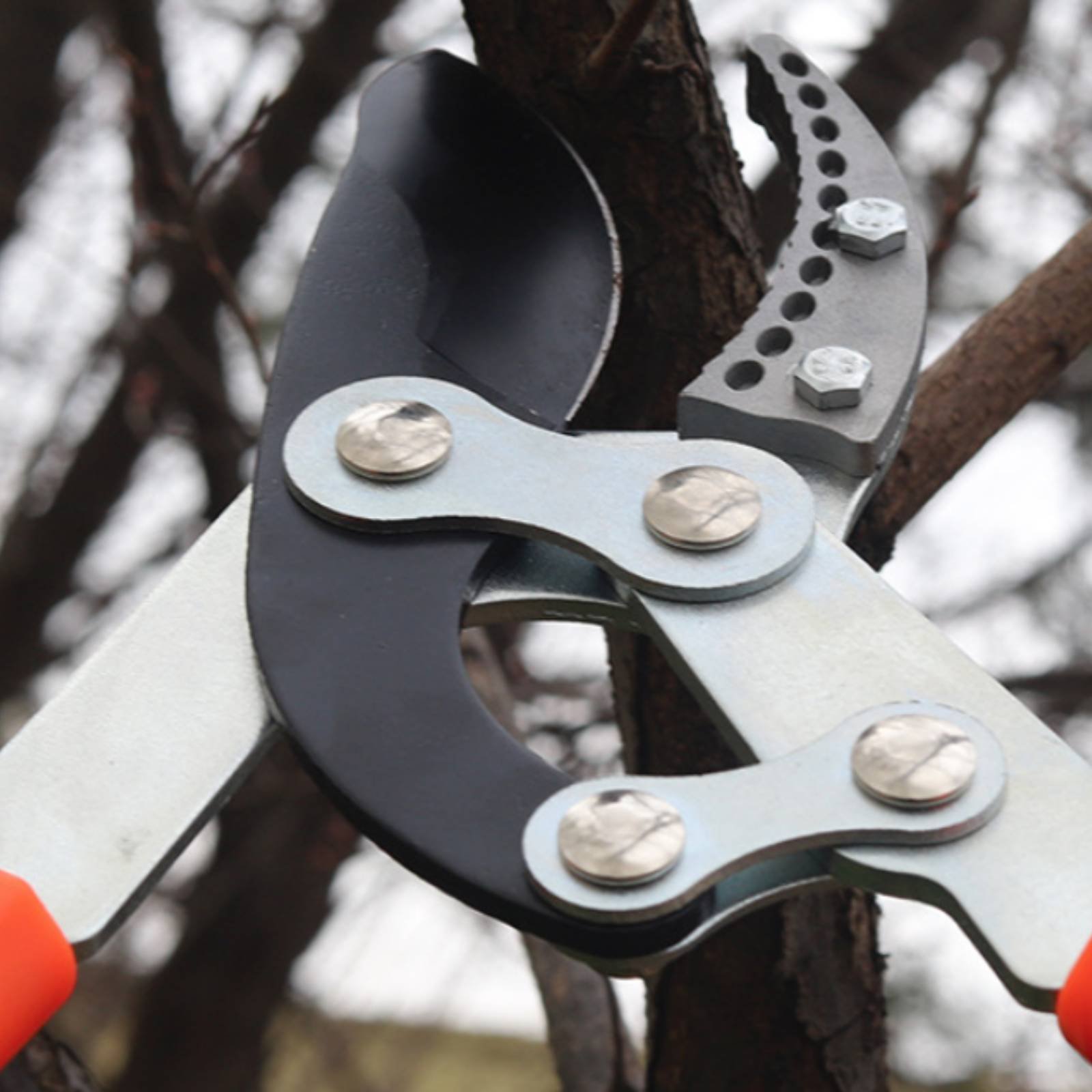 Pruning Shears - Pemangkas Cabang Teleskopik Pisau Tajam Pemangkas