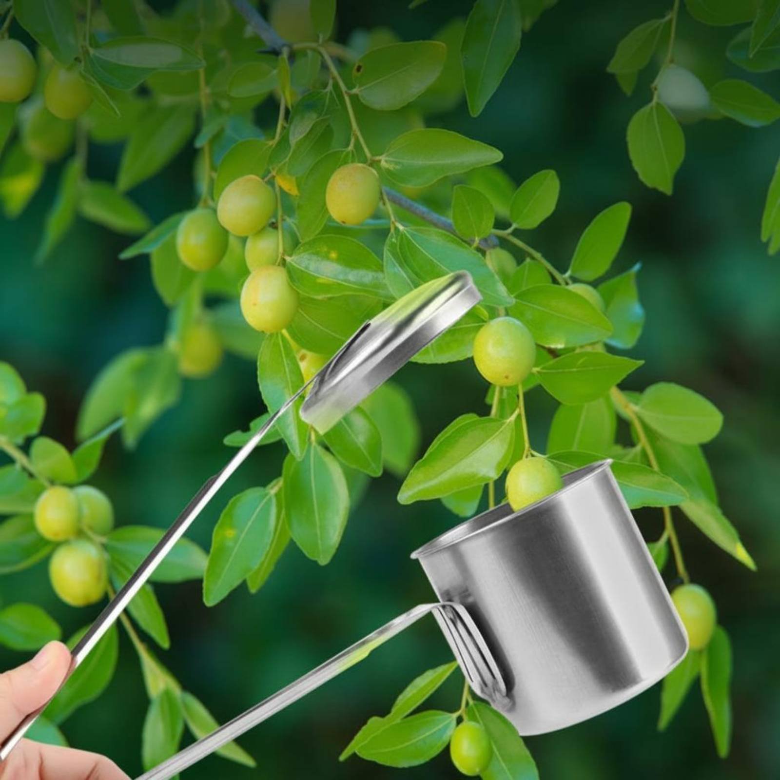 Gardening Tools Uses - Alat Pemetik Buah dari Baja Tahan