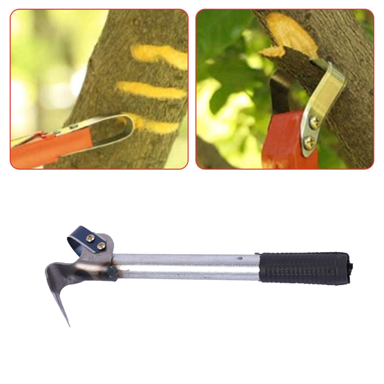 Alat Pengupas Kulit Kayu, Pisa - Gardening Tools Drawing ulasan dan harga
