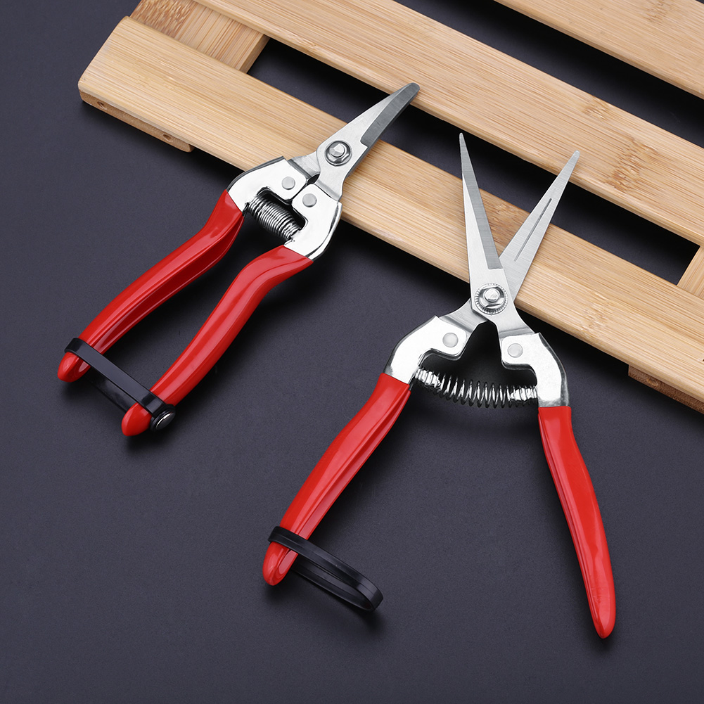 Kokoh pohon buah Bonsai guntin - Gardening Tools For Women ulasan dan harga