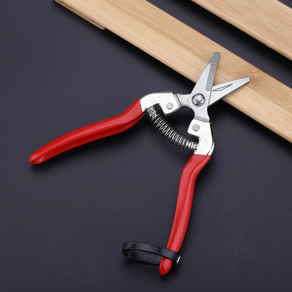Kokoh pohon buah Bonsai guntin - Gardening Tools For Women ulasan dan harga