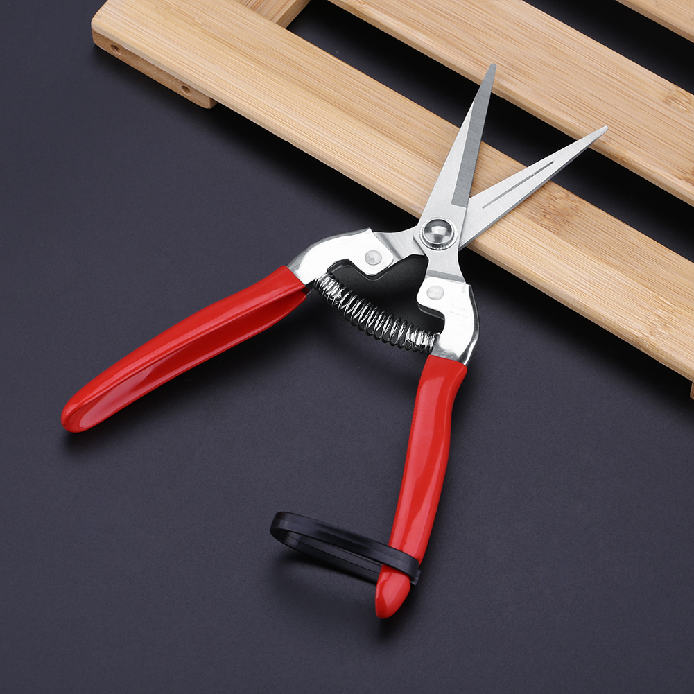 Kokoh pohon buah Bonsai guntin - Gardening Tools For Women ulasan dan harga