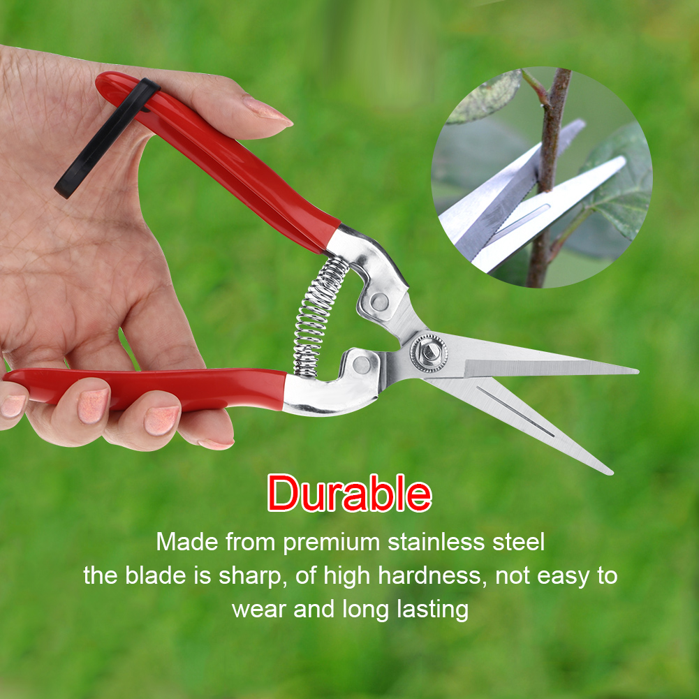 Kokoh pohon buah Bonsai guntin - Gardening Tools For Women ulasan dan harga