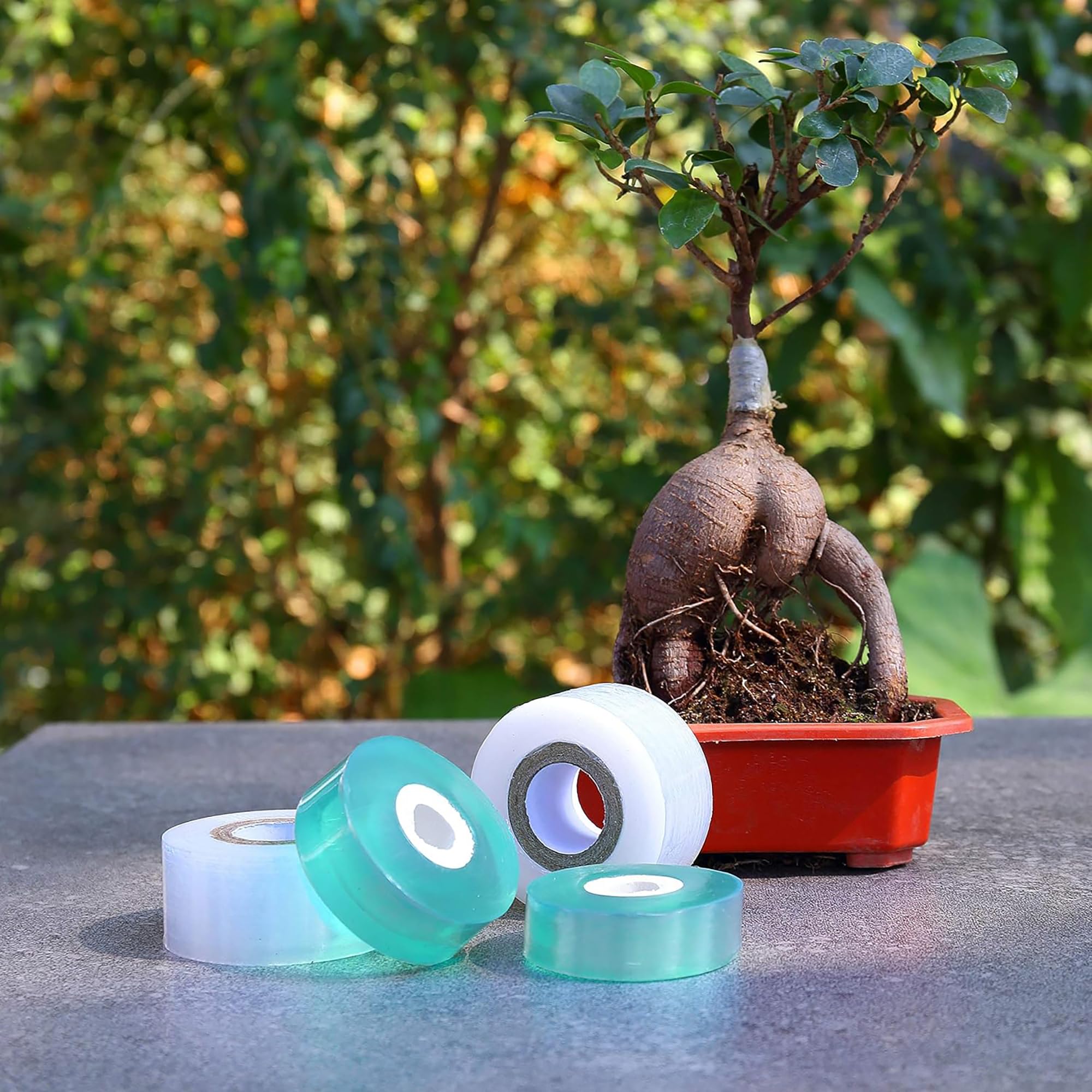 Pita Perekat Biodegradable Mud - Gardening Tools Uses ulasan dan harga
