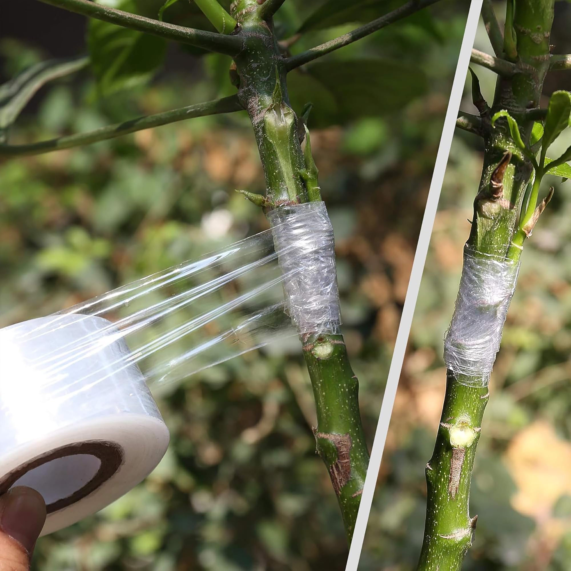 Pita Perekat Biodegradable Mud - Gardening Tools Uses ulasan dan harga