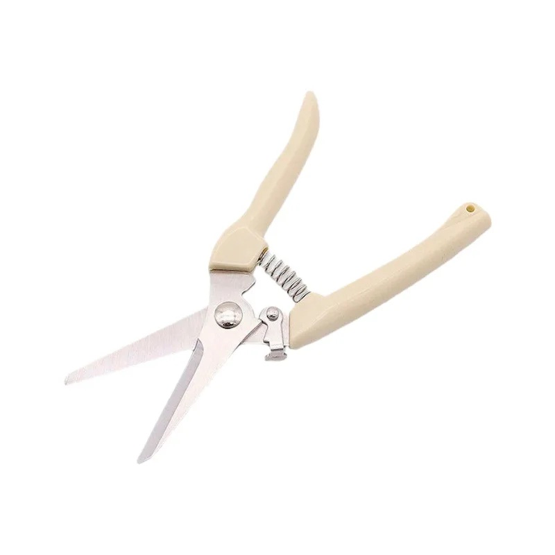 Gunting Pemangkas Taman Hemat  - Pruning Shears ulasan dan harga