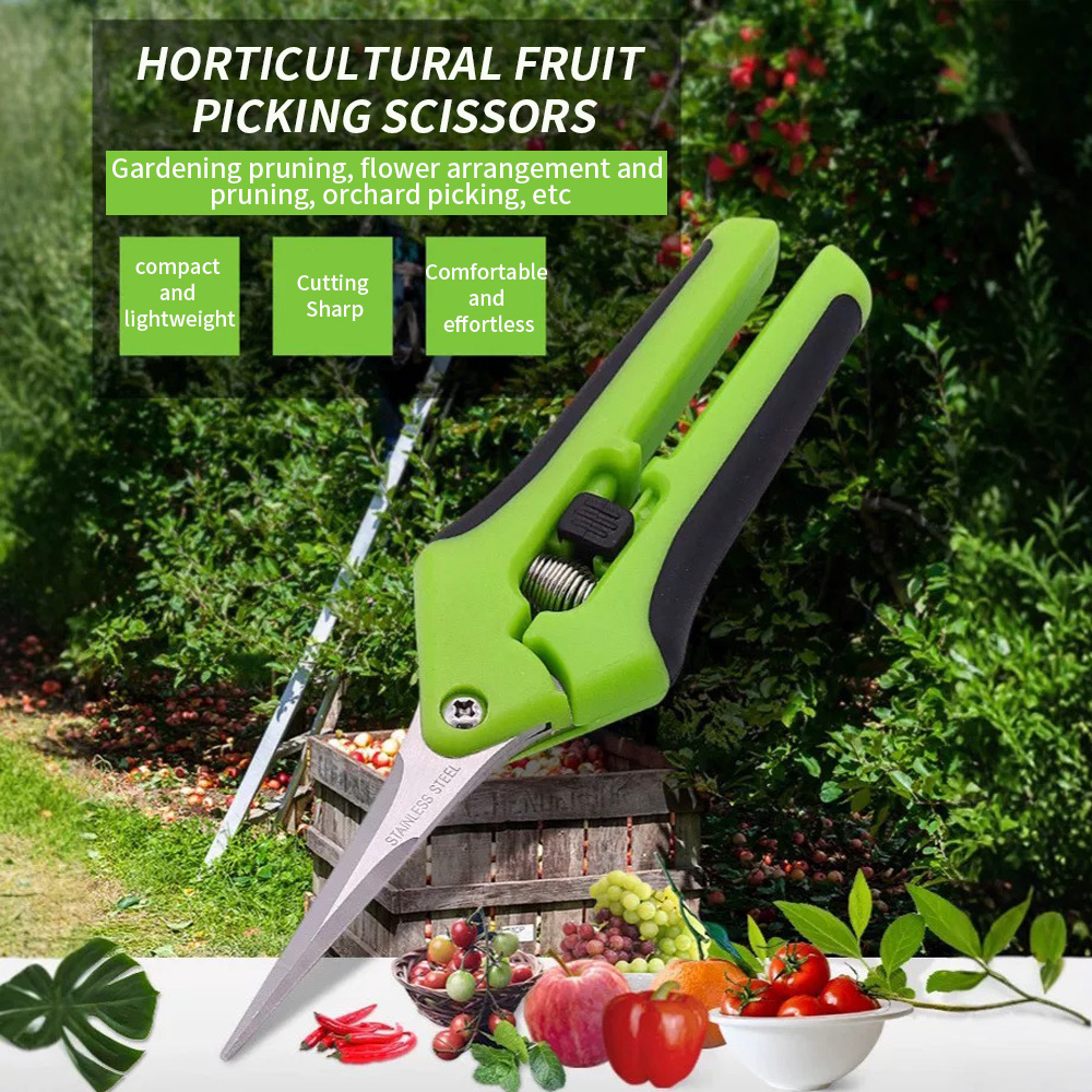 Gunting Pemetik Buah Berujung  - Gardening Tools Uses ulasan dan harga