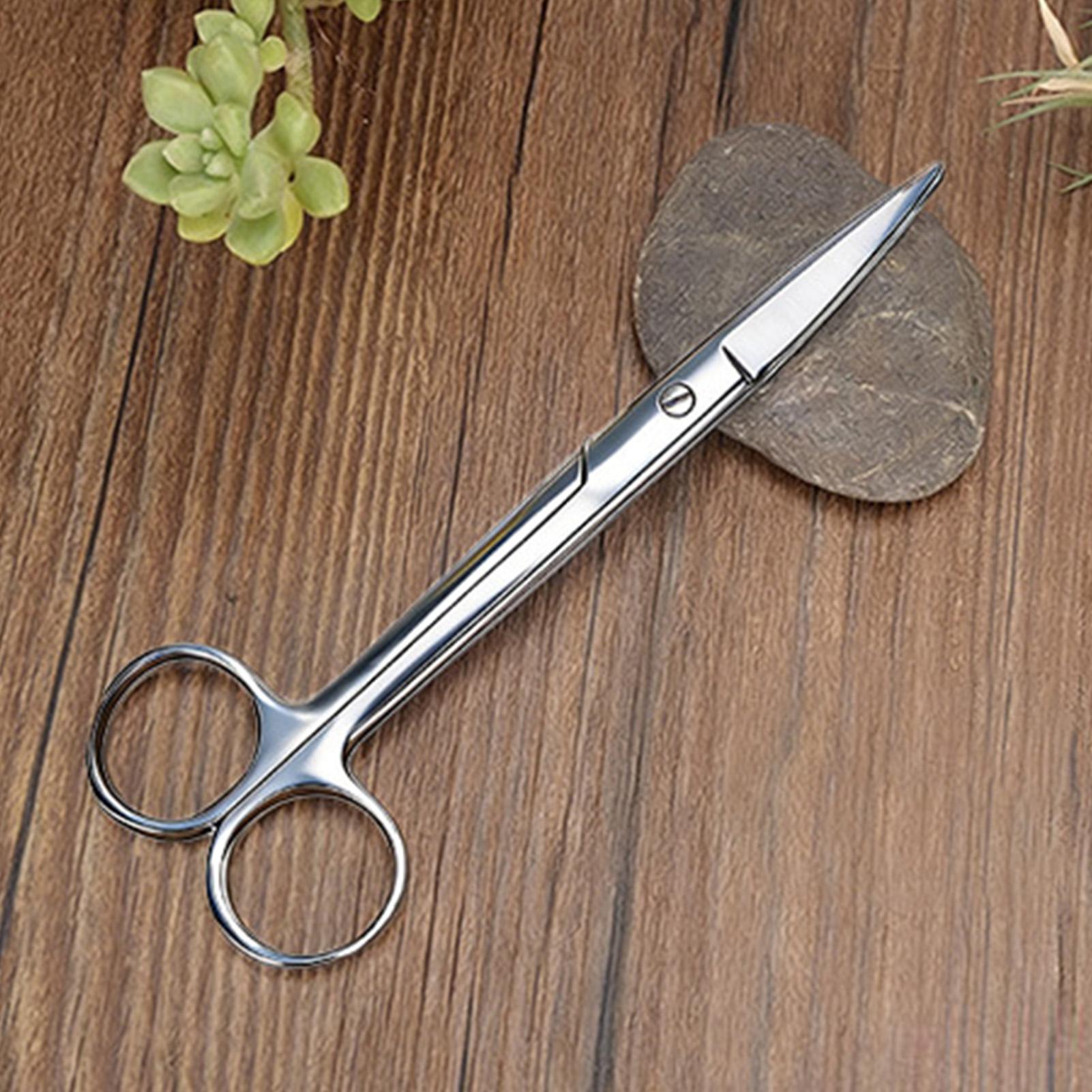 Gunting Tanaman Baja Tahan Kar - Pruning Shears ulasan dan harga