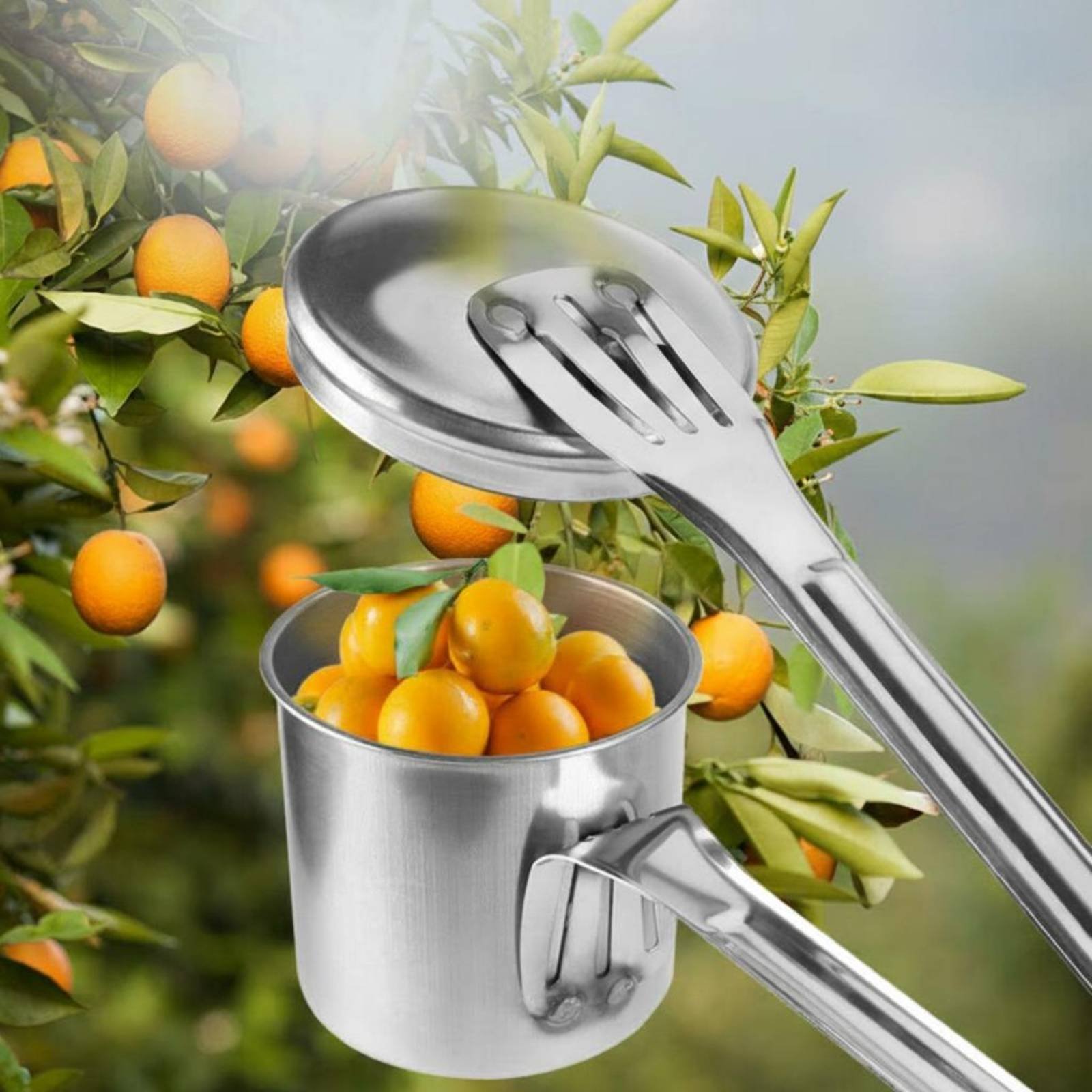 Alat Pemetik Buah dari Baja Ta - Gardening Tools Uses ulasan dan harga